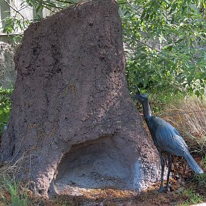 Pantanal - Seriema Sculpture