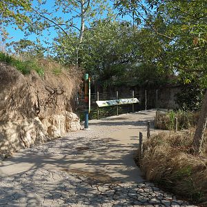 Pantanal - Mixed Species Exhibit - Visitor Path