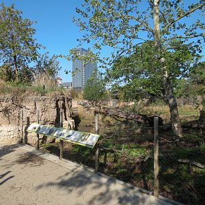 Pantanal - Mixed Species Exhibit - Viewing Area