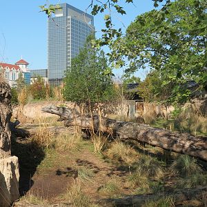 Pantanal - Mixed Species Exhibit - Interior
