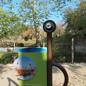 Pantanal - Mixed Species Exhibit - Simulated Jabiru Stork Nest Scope