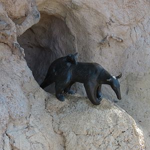 Pantanal - Tamandua Sculpture