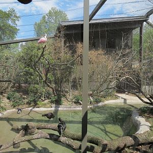 Pantanal - Refurbished Aviary - Interior