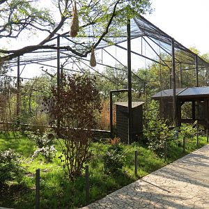 Pantanal - Refurbished Walk-through Aviary - Exterior