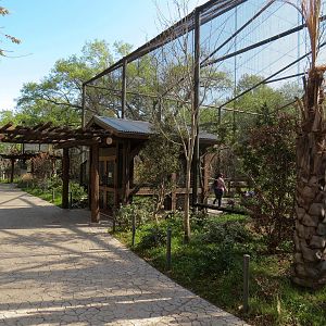 Pantanal - Refurbished Walk-through Aviary - Exterior