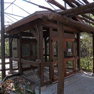 Pantanal - Refurbished Walk-through Aviary - Exterior