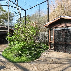 Pantanal - Refurbished Walk-through Aviary - Interior