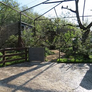 Pantanal - Refurbished Walk-through Aviary - Interior
