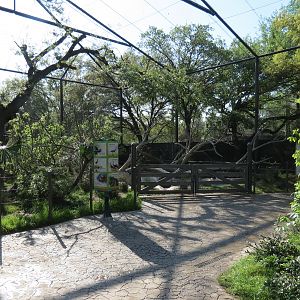 Pantanal - Refurbished Walk-through Aviary - Interior