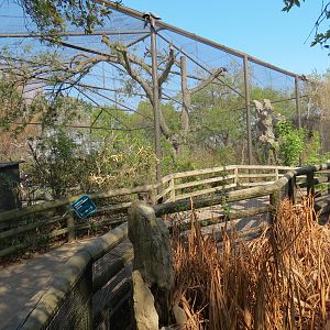 Pantanal - Refurbished Walk-through Aviary - Exterior