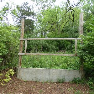 May. 2021 - Future Site of the Komodo Dragon Exhibit