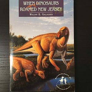 When Dinosaurs Romaed New Jersey