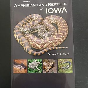 A Field Guide to the Amphibians and Reptiles of Iowa