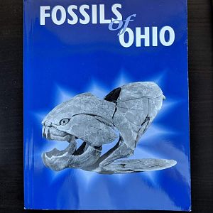 Fossils of Ohio