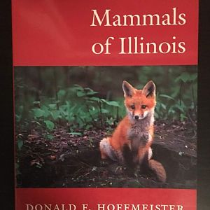 Mammals of Illinois
