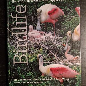 Birdlife of Houston, Galveston, and the Upper Texas Coast