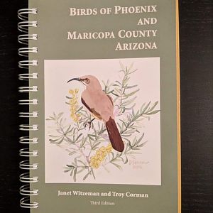 Birds of Phoenix and Maricopa County Arizona