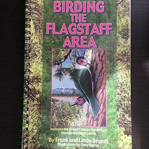 Birding the Flagstaff Area  Includes the Grand Canyon South Rim Navajo and Hopi Lands