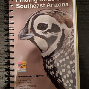 Finding Birds in Southeast Arizona