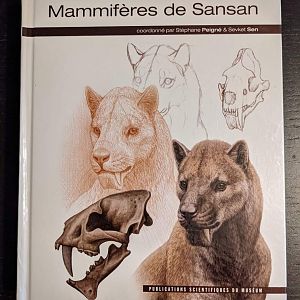 Mammiferes de Sansan