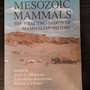 Mesozoic Mammals The First Two-Thirds of Mammalian History