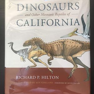 Dinosaurs and Other Mesozoic Reptiles of California