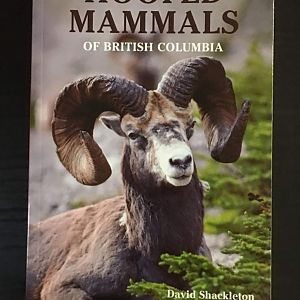 Hoofed Mammals of British Columbia