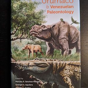 Urumaco & Venezuelan Paleontology