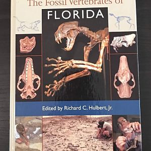 The Fossil Vertebrates of Florida