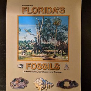 Florida's Fossils; Guide to Location, Identification, and Enjoyment
