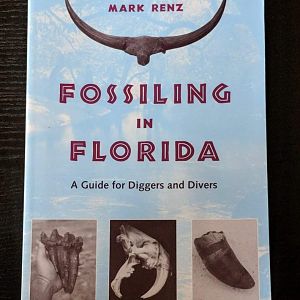 Fossiling in Florida
