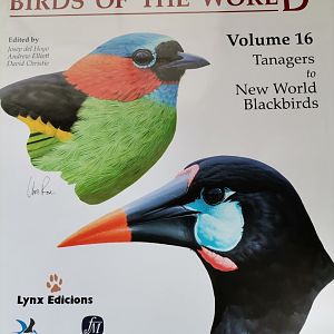 Handbook of the Birds of the World – Volume 16 Tanagers to New World Blackbirds