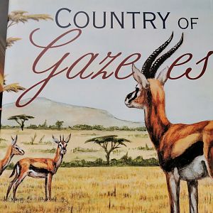 In the Country of Gazelles, by Fritz Walther