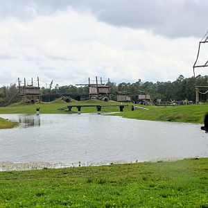 Chimpanzee islands (2016