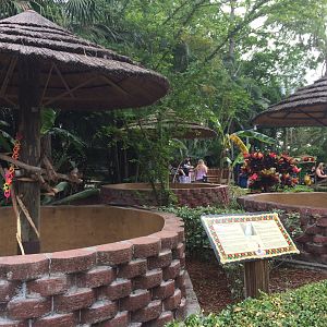 Parrot enclosures (2016)