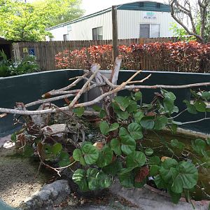 Reptile exhibits (2016)