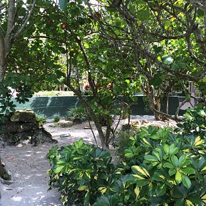 Reptile exhibits (2016)