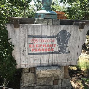 Toyota Elephant Passage