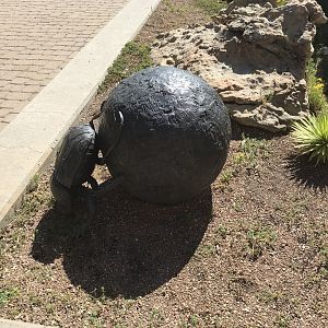 Dung Beetle sculpture