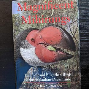 Magnificent Mihirungas - The Colossal Flightless Birds of the Australian Dreamtime