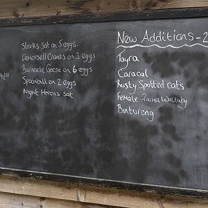 Axe Valley scoreboard