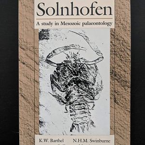 Solnhofen: A study in Mesozoic Paleontology