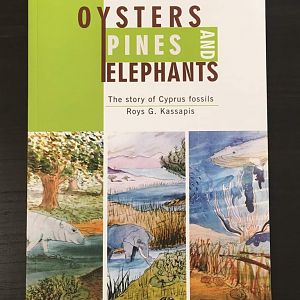 Oysters, Pines, and Elephants  The story of Cyprus fossils