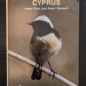 The Birds of Cyprus