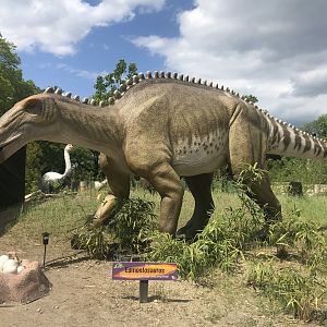 Stop 2: Edmontosaurus
