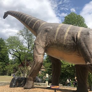 Stop 3: Alamosaurus