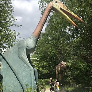 Stop 6: Quetzalcoatlus