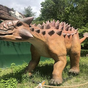 Stop 8: Ankylosaurus