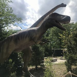 Stop 9: Juvenile T. rex #2
