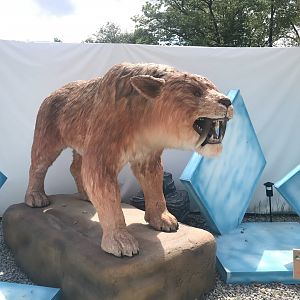 Stop 12: Smilodon